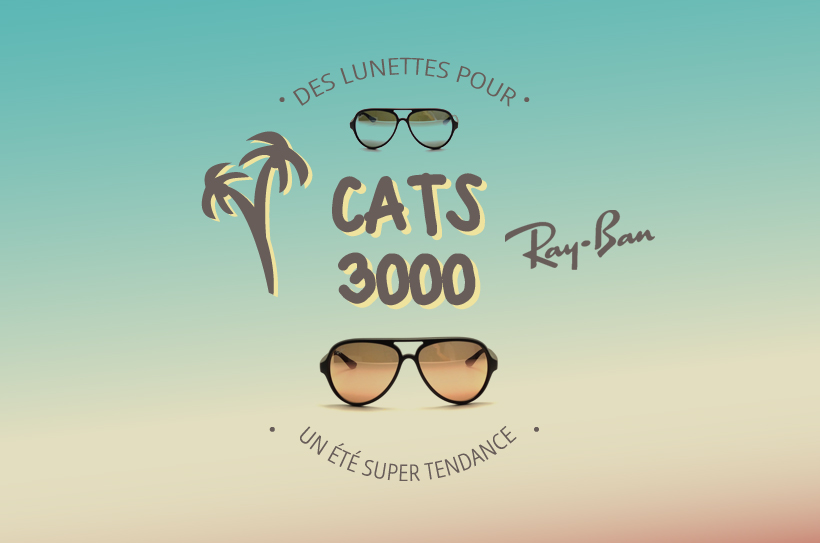 Les Ray-Ban RB 4125 Cats 5000