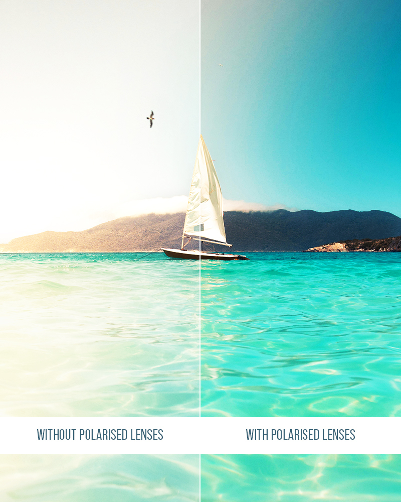 comparison between polarized and non-polarized lenses