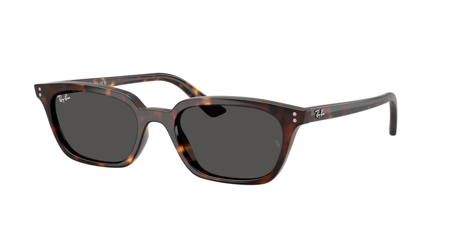 Ray-Ban Zaya RB4456 1359/87 — havana acetate cat-eye with timeless feminine vibe